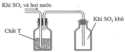 Sau khi điều chế, khí SO2 có lẫn hơi nưởc được dẫn qua bình làm khô chứa các hạt chất rắn T rồi thu vào bình chứa theo hình vẽ sau: (ảnh 1)