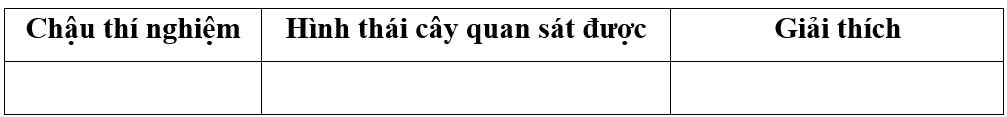 Học sinh viết và trình bày báo cáo theo mẫu: (ảnh 4)