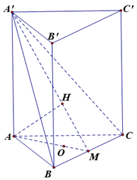Cho hình lăng trụ đứng ABC. A'B'C' có đáy ABC là tam giác đều cạnh a (ảnh 1)
