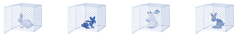 Lớp em dự định mua các tấm lưới hình vuông để lắp ráp các chuồng thỏ có dạng khối lập phương (xem hình).  a) Số? Để lắp ráp 4 chuồng thỏ như hình bên dưới thì phải dùng ............. đồng để mua các tấm lưới.   (ảnh 2)