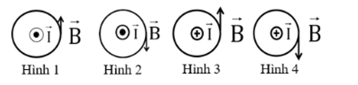 Trong các hình vẽ sau, hình vẽ nào biểu diễn đúng hướng của đường cảm ứng từ của dòng điện trong dây dẫn thẳng dài vô hạn vuông góc với mặt phẳng hình vẽ: (ảnh 1)