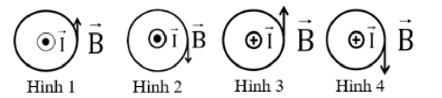 Trong các hình vẽ sau, hình vẽ nào biểu diễn đúng hướng của đường cảm ứng từ của dòng điện trong dây dẫn thẳng dài (ảnh 1)