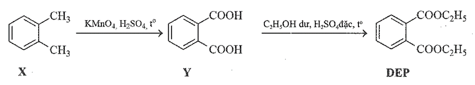 Diethyl phthalate (còn gọi là DEP) được sử dụng làm thuốc trị ghẻ ngứa, côn trùng đốt. DEP có chứa vòng benzene và hai nhóm thế ở vị trí ortho. (ảnh 2)