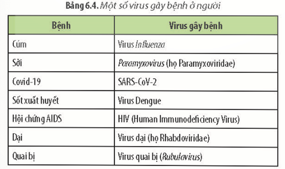 Đọc thông tin ở các Bảng 6.1, 6.2, 6.3 và 6.4, hãy kể tên những tác nhân đã từng gây nên bệnh dịch ở địa phương em. (ảnh 4)