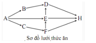 Sơ đồ dưới minh họa lưới thức ăn trong một hệ sinh thái gồm các loài sinh vật: A, B, C, D, E, F, H (ảnh 1)