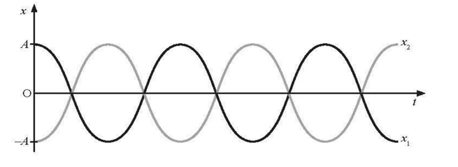 Cho hai vật thực hiện dao động điều hoà cùng biên độ, cùng tần số và dao động ngược pha với nhau. Biết tại thời điểm ban đầu, vật 1 xuất phát từ biên dương. Hãy vẽ phác đồ thị li độ - thời gian của hai vật dao động. (ảnh 1)