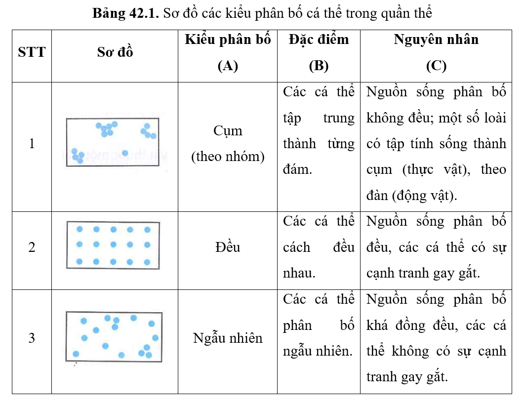 Hãy xác định các thông tin còn thiếu trong Bảng 42.1. Bảng 42.1. Sơ đồ các kiểu phân bố cá thể trong quần thể (ảnh 2)