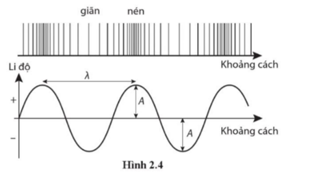 Một sóng dọc khi lan truyền trong không khí gây ra sự giãn/nén của các phân tử khí theo phương truyền sóng. Sóng này có thể được biểu diễn bằng mô hình sóng trên đồ thị li độ – khoảng cách như Hình 2.4. Các vùng giãn và nén trên hình sẽ thay đổi như thế nào sau 1/2 chu kì? Hãy biểu diễn các vùng đó. (ảnh 1)