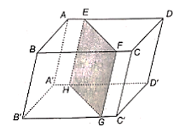Cho hình hộp ABCD.A'B'C'D'. Một mặt phẳng (P) cắt các cạnh AD, BC, B'C', A'D' lần lượt tại E, F, G, H. Chứng minh rằng tứ giác EFGH là hình bình hành. (ảnh 1)