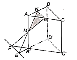 Cho hình lăng trụ tam giác ABC.A'B'C'. Gọi M, N, P lần lượt là trung điểm của các cạnh AA', AB, AC. (ảnh 1)