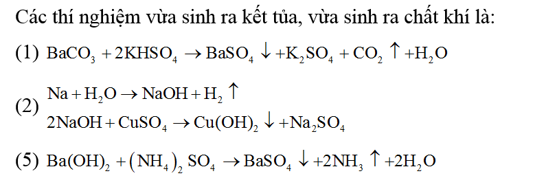 Thực hiện các thí nghiệm sau:  (2) Cho dung dịch NH4HCO3 vào dung dieh HCl. (ảnh 1)