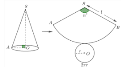 Một hình nón (N) được làm bằng giấy. Bỏ đi hình tròn đáy của (N) và cắt phần còn lại của (N) theo một đường sinh rồi trải ra thì (ảnh 1)