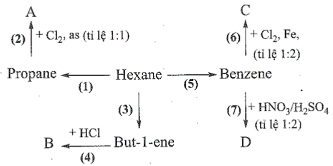 Hoàn thành sơ đồ chuyển hoá sau đây và viết các phương trình hoá học. (Biết A, B, C, D, F là các sản phẩm chính) (ảnh 1)