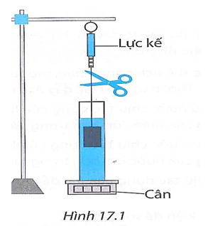 Treo khối sắt vào lực kế và từ từ nhúng vật ngập vào trong ống trụ chứa nước đặt trên một cái cân (Hình 17.1). (ảnh 1)