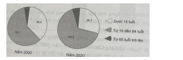 Dựa vào bảng 15.2 trang 71 SGK, hãy:  - Vẽ biểu đồ thích hợp thể hiện cơ cấu dân số theo tuổi của khu vực Tây Nam Á năm 2000 và năm 2020. (ảnh 1)