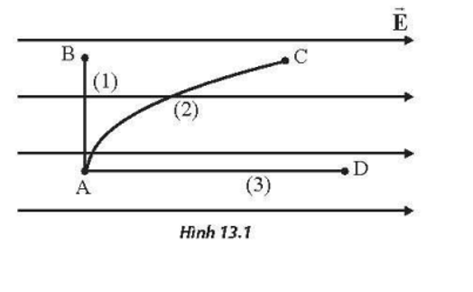 Cho một hạt mang điện dương chuyển động từ điểm A đến điểm B, C, D theo các quỹ đạo khác nhau trong điện trường đều như (ảnh 1)