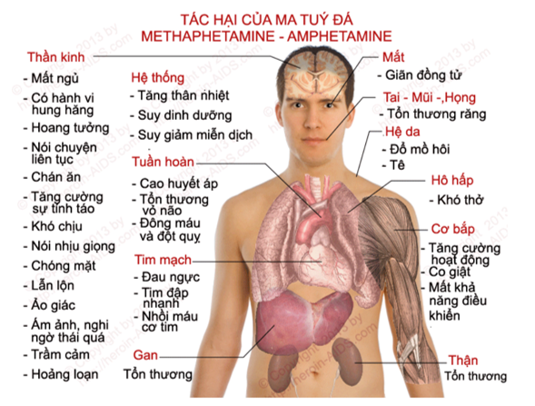 Thiết kế tờ rơi/ bài trình bày để tuyên truyền cho mọi người tác hại của việc sử dụng chất gây nghiện. Bước 1: Thông tin về tác hại của chất gây nghiện. Bước 2: Thiết kế tờ rơi/bài trình bày. (ảnh 1)