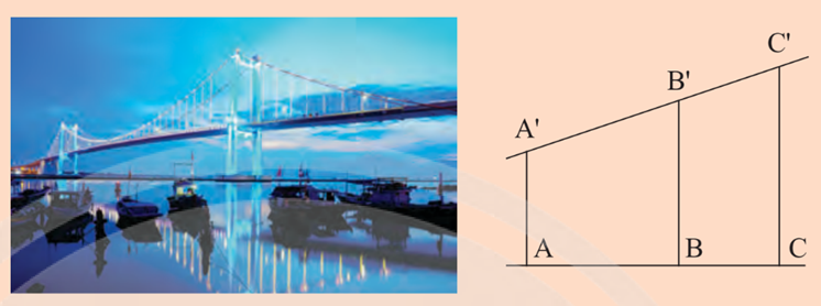 Những sợi cáp treo của cầu Thuận Phước (thuộc thành phố Đà Nẵng) cho ta hình ảnh những đoạn thẳng song song. Các đoạn thẳng AA', AB', CC'  (ảnh 1)