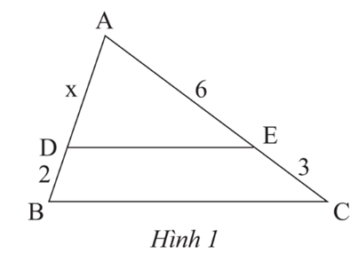 Cho tam giác ABC, biết DE // BC và AE = 6 cm, EC = 3 cm, DB = 2 cm (Hình 1). Độ dài đoạn thẳng AD là (ảnh 1)