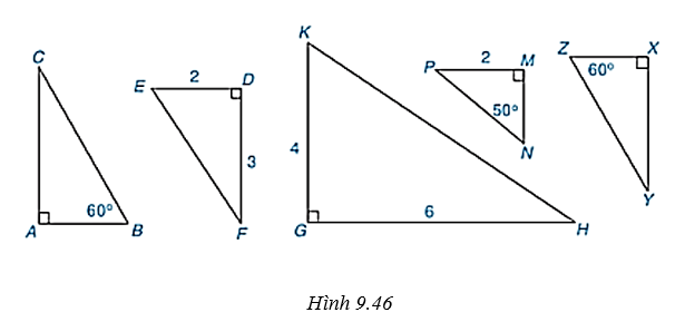 Hãy chỉ ra hai cặp tam giác vuông đồng dạng trong Hình 9.46. (ảnh 1)