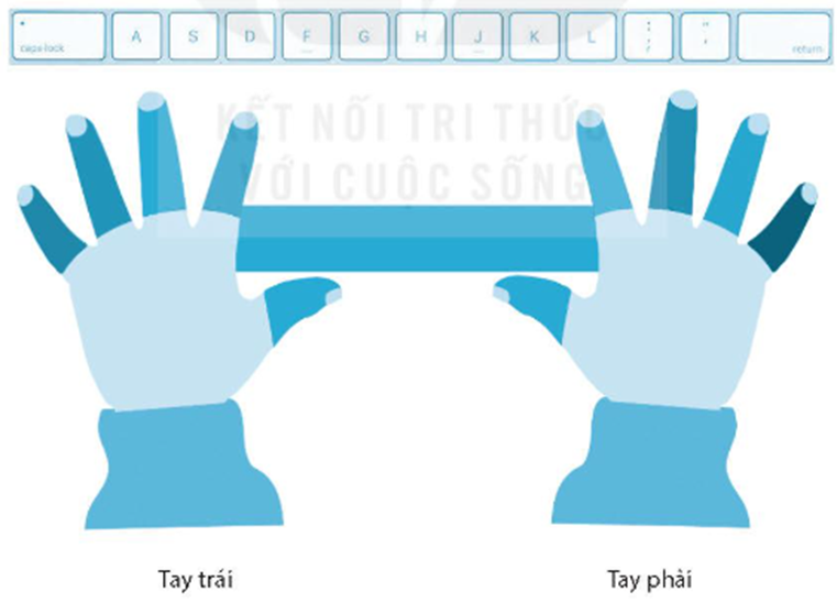 Nối mỗi ngón tay (út, áp út, giữa, trỏ) với phím xuất phát trên hàng phím cơ sở (ảnh 1)