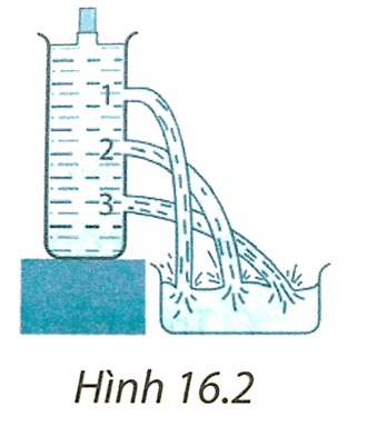 Thí nghiệm Hình 16.2 cho thấy nước chảy ra từ chai ở vị trí 3 mạnh nhất rồi đến vị trí 2 và yếu nhất là vị trí 1. Kết quả này cho ta kết luận gì về sự phụ  (ảnh 1)