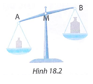 Hình 18.2 mô tả cân đòn ở trong phòng thí nghiệm, đây là loại cân có trục quay ở giữa. Đòn cân được cân bằng (ảnh 1)