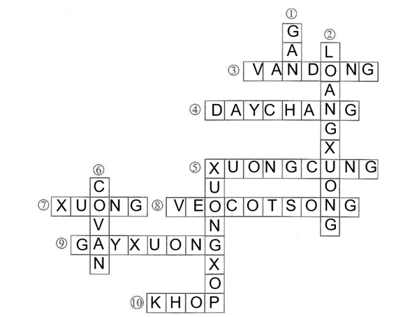 Dựa vào gợi ý dưới đây, hãy tìm ô chữ hàng ngang và hàng dọc (chữ cái điều là tiếng Việt không dấu, ví dụ: COVAN). (ảnh 2)