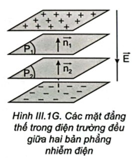 Hãy nêu đặc điểm của mặt đẳng thế trong điện trường đều. Vẽ hình minh hoạ (ảnh 1)