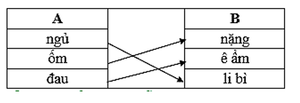Nối động từ ở cột A với tính từ chỉ đặc điểm của hoạt động trạng thời ở cột B. (ảnh 1)