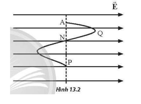 Một điện tích q chuyển động từ điểm A đến P theo lộ trình như Hình 13.2 (A → Q → N → P) trong điện trường đều. (ảnh 1)