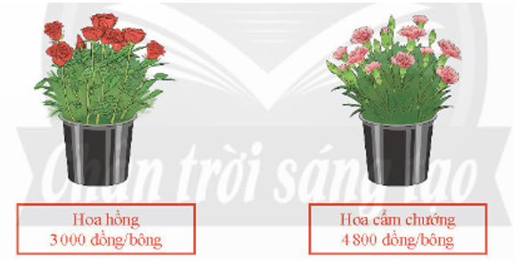 Một người mua 36 bông hoa hồng và hoa cẩm chướng hết tất cả 136 800 đồng. Giá mỗi bông hoa hồng là 3 000 đồng, giá mỗi bông hoa cẩm chướng là 4 800 đồng. Tính số bông hoa mỗi loại.   (ảnh 1)