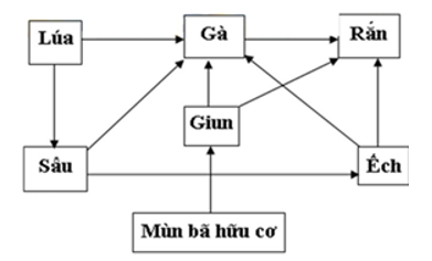 Lưới thức ăn có thể có trên một cánh đồng hoặc một ao tự nhiên là:…………………. Các mắt xích chung của lưới thức ăn là:…………………. (ảnh 1)