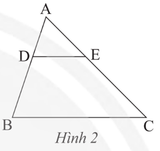 Cho tam giác ABC, biết DE // BC (Hình 2). Trong các khẳng định sau, khẳng định nào sai? (ảnh 1)
