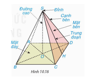 Hình chóp S.ABCD trong Hình 10.18 có đáy ABCD là hình vuông, các mặt bên là những tam giác cân (ảnh 1)
