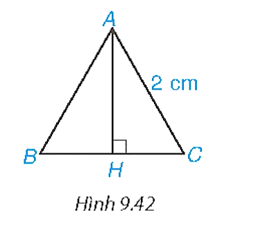 Tính chiều cao theo đơn vị centimét của một tam giác đều cạnh 2 cm (H.9.42) (làm tròn kết quả đến chữ số thập phân thứ hai). (ảnh 1)