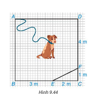 Chú cún bị xích bởi một sợi dây dài 6 m để canh một mảnh vườn giới hạn bởi các điểm A, B, E, F, D trong hình vuông (ảnh 1)