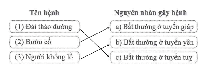 Nối tên mỗi bệnh nội tiết với nguyên nhân gây ra bệnh đó cho phù hợp. (ảnh 2)