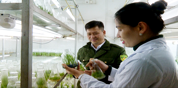 Em hãy sưu tầm một câu chuyện và ba hình ảnh về bảo vệ đa dạng sinh học ở Việt Nam (ảnh 3)
