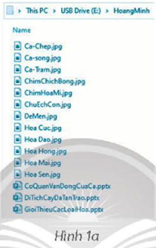 Trong USB của bạn Hoàng Minh có thư mục HoangMinh chứa các tập ảnh và (ảnh 1)
