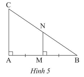Trong Hình 5, chứng minh MN là đường trung bình của tam giác ABC.   (ảnh 1)