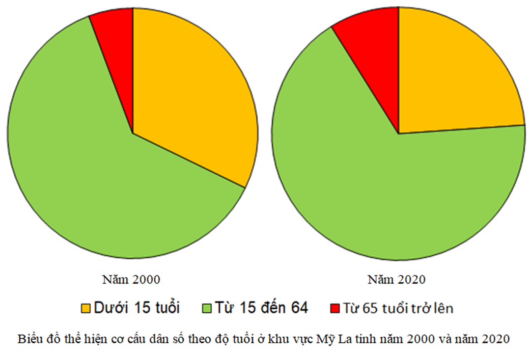 Cho bảng số liệu: CƠ CẤU DÂN SỐ THEO TUỔI Ở KHU VỰC MỸ LA TINH NĂM 2000 VÀ NĂM 2020 (Đơn vị: %) (ảnh 2)