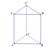 Cho lăng trụ tam giác đều ABC.A'B'C' có AB = 1; AA' = 2. Thể tích khối lăng trụ ABC.A'B'C' bằng (ảnh 1)