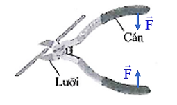 Ở chiếc kìm cắt dây thép (hình 19.3), mỗi nhánh kìm gồm cán và phần lưỡi cắt có thể quay quanh chốt cố định, có vai trò như đòn bẩy. Hãy sử dụng các mũi tên biểu diễn lực để mô tả cách dùng lực tác dụng lên cán kim để cắt được dây thép. (ảnh 2)