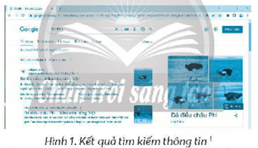 Máy tìm kiếm nào đã được sử dụng để tìm kiếm thông tin (ảnh 1)