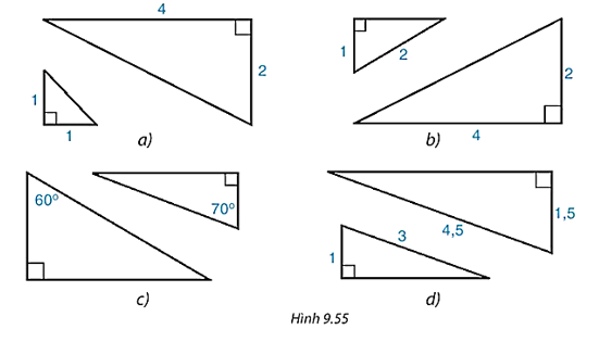 Cặp tam giác vuông nào đồng dạng với nhau trong Hình 9.55? (ảnh 1)