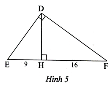 Quan sát Hình 5. Chứng minh rằng tam giác HDE đồng dạng tam giác HFD (ảnh 1)