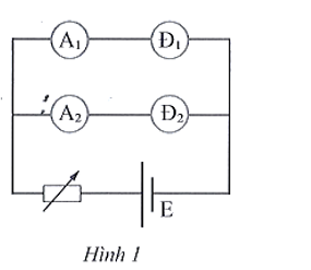 Một học sinh đo cường độ dòng điện đi qua các đèn Đ1 và Đ2 (hình 1) được các giá trị lần lượt là  (ảnh 1)