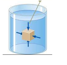 Một khối hộp có dạng hình lập phương nặng 1g đặt trong nước nguyên chất có khối lượng riêng ρ = 1000kg/m3. Mỗi cạnh của hộp có độ dài 1cm. Khối hộp này sẽ:   A. nổi lên. B. chìm xuống. C. đứng yên trong nước. D. Không đủ dữ liệu để kết luận. (ảnh 1)