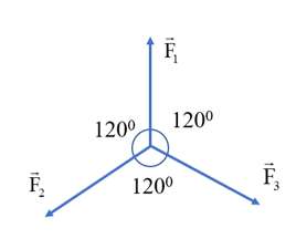 Cho ba lực đồng qui cùng nằm trên một mặt phẳng, có độ lớn F1 = F2 = F3 = 30 N và từng đôi một hợp với nhau thành góc 120°. Hợp lực của chúng có độ lớn là bao nhiêu?   A. 30 N. B. 0 N. C. 60 N. D. 90 N. (ảnh 1)